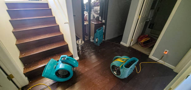 Best Flood damage cleanup  in Norwich, CT