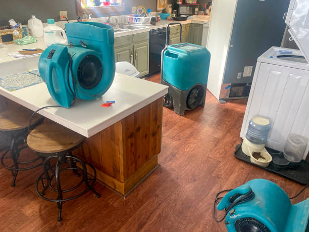 Trusted CT Water damage restoration Experts