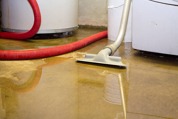 Best Residential water damage restoration  in Norwich, CT